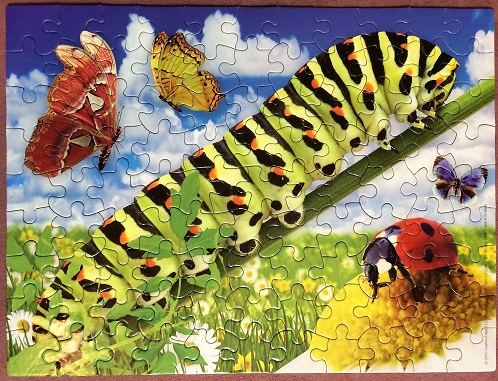 Crafty Critters