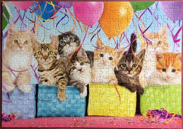 Kitten Surprise