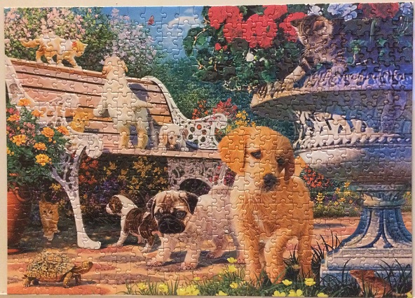 Afternoon at the Park