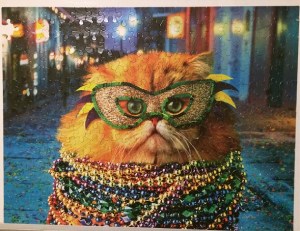 Fluffy Mardi Gras