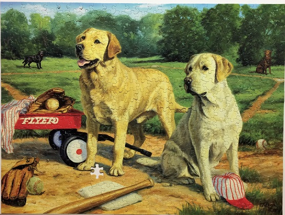 Yellow and White Labs