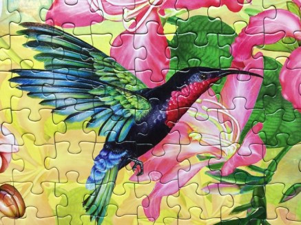 Hummingbird Garden 1