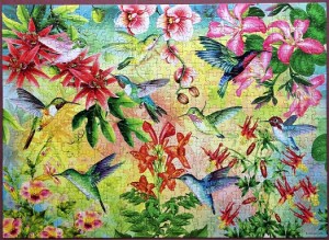 Hummingbird Garden
