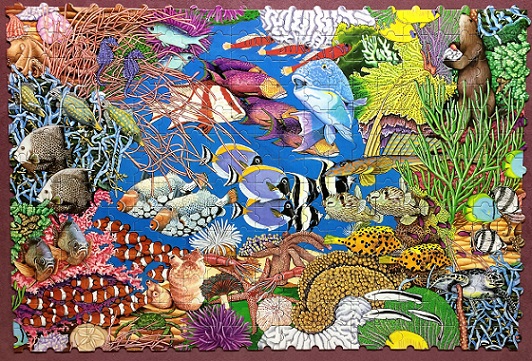 Coral Reef