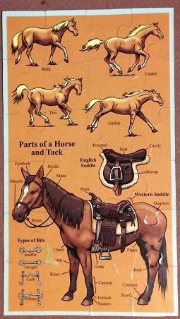 Horses 1.JPG