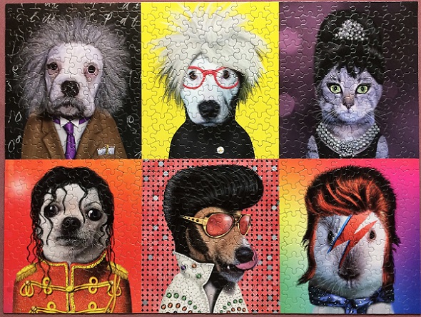 Pets Rock