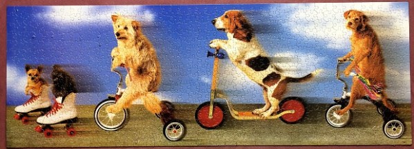 Rufff Riders