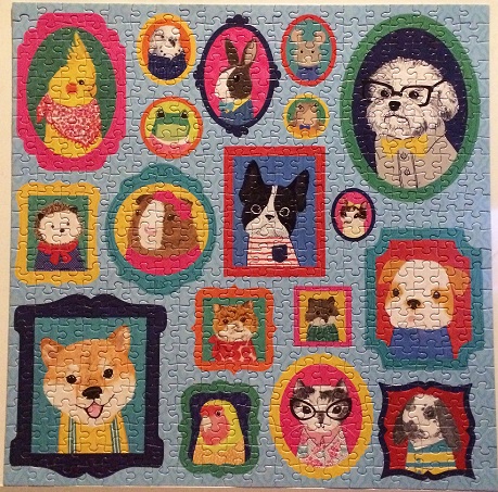 Pet Portraits