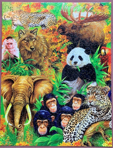 Animal Planet