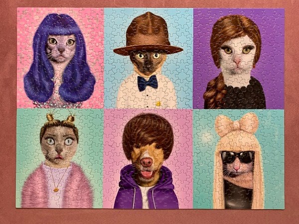 Pets Rock