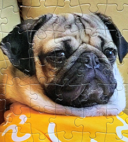 Doug Cheesy 1.JPG