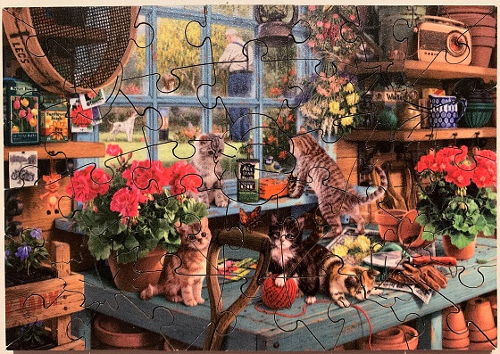 Grandpa's Shed
