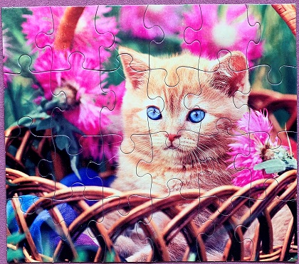 Kitty