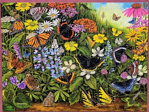 Butterfly Garden