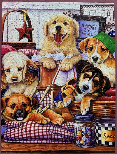 Suds and Pups
