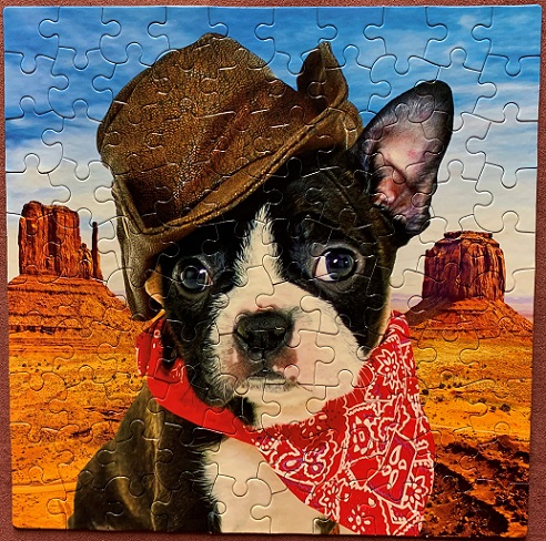 Boston Cowboy