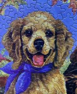 Let's Play Football 2