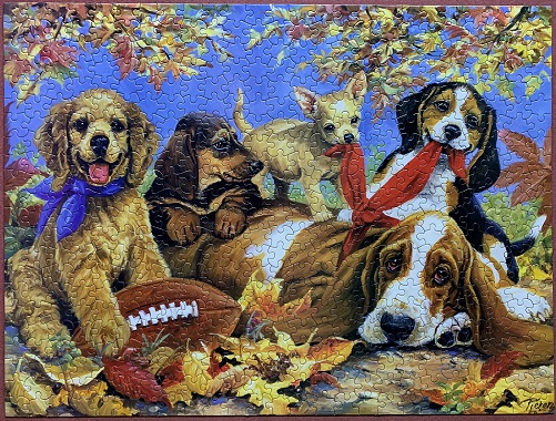 Let's Play Football
