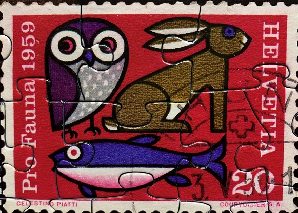 Snail Mail 3