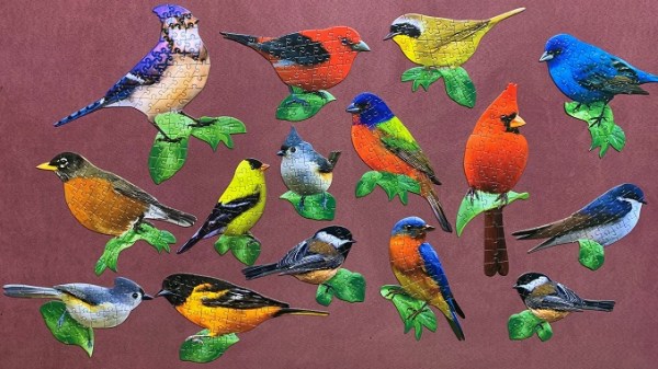 Birds